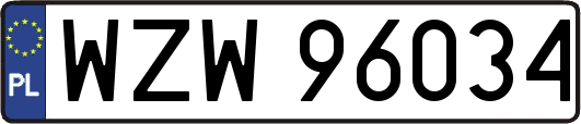 WZW96034