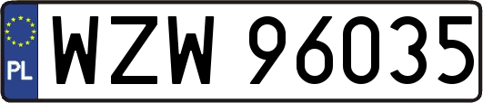 WZW96035
