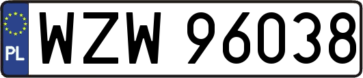 WZW96038