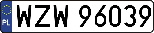 WZW96039