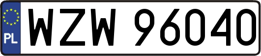 WZW96040