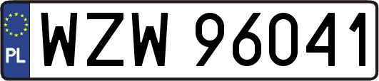 WZW96041