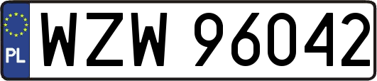 WZW96042