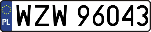 WZW96043