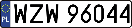 WZW96044