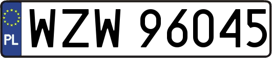 WZW96045