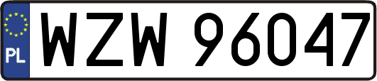 WZW96047