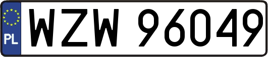 WZW96049