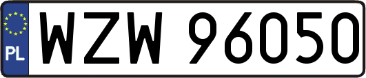 WZW96050