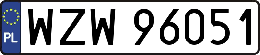 WZW96051