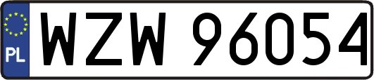 WZW96054