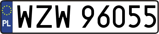 WZW96055