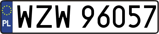 WZW96057