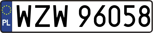 WZW96058