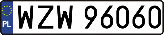 WZW96060