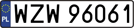 WZW96061