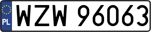 WZW96063