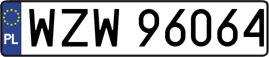 WZW96064