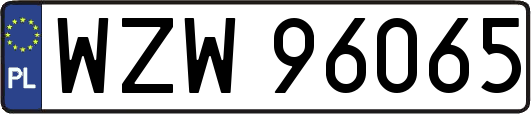 WZW96065