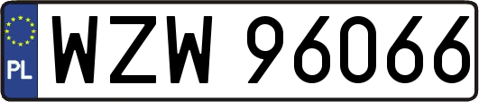 WZW96066