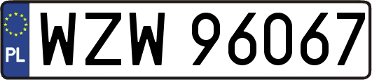 WZW96067
