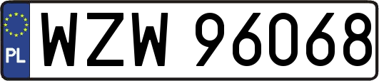 WZW96068