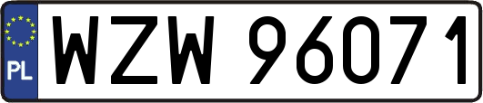 WZW96071