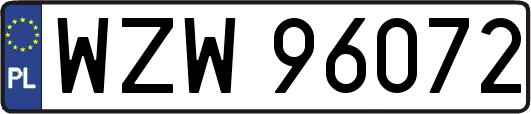 WZW96072