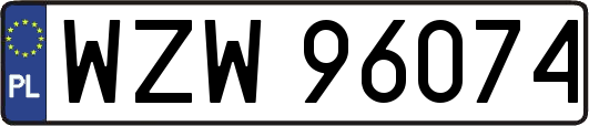 WZW96074