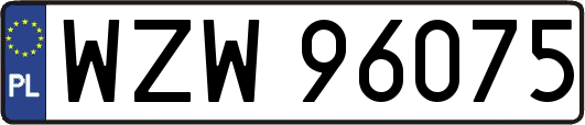 WZW96075