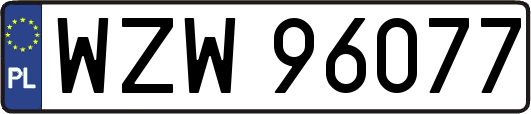 WZW96077