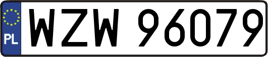 WZW96079
