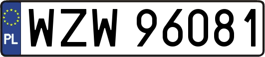 WZW96081