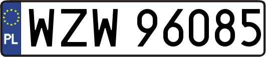 WZW96085