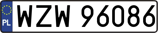 WZW96086