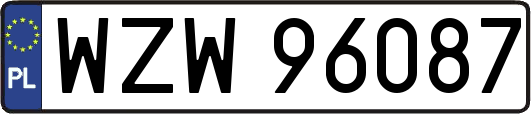 WZW96087