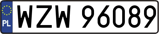WZW96089