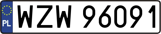 WZW96091