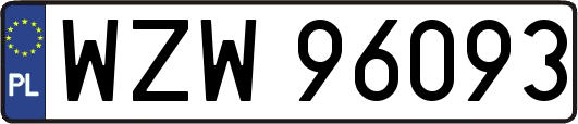 WZW96093