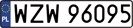 WZW96095