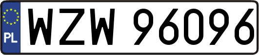 WZW96096