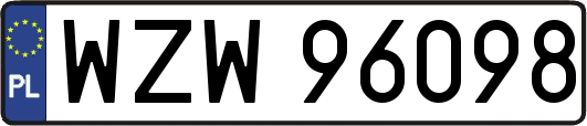 WZW96098
