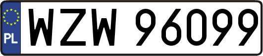 WZW96099