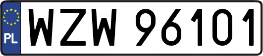 WZW96101