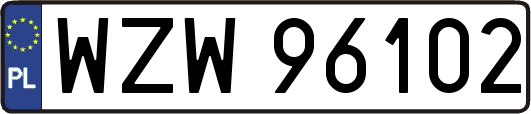 WZW96102