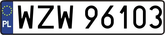WZW96103