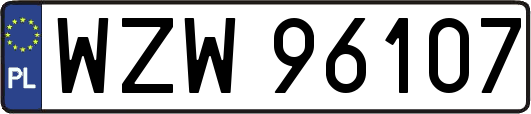 WZW96107