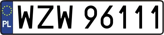 WZW96111