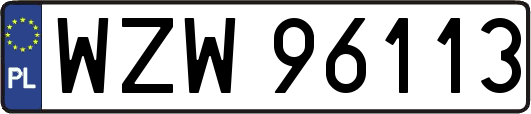WZW96113