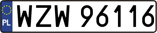 WZW96116